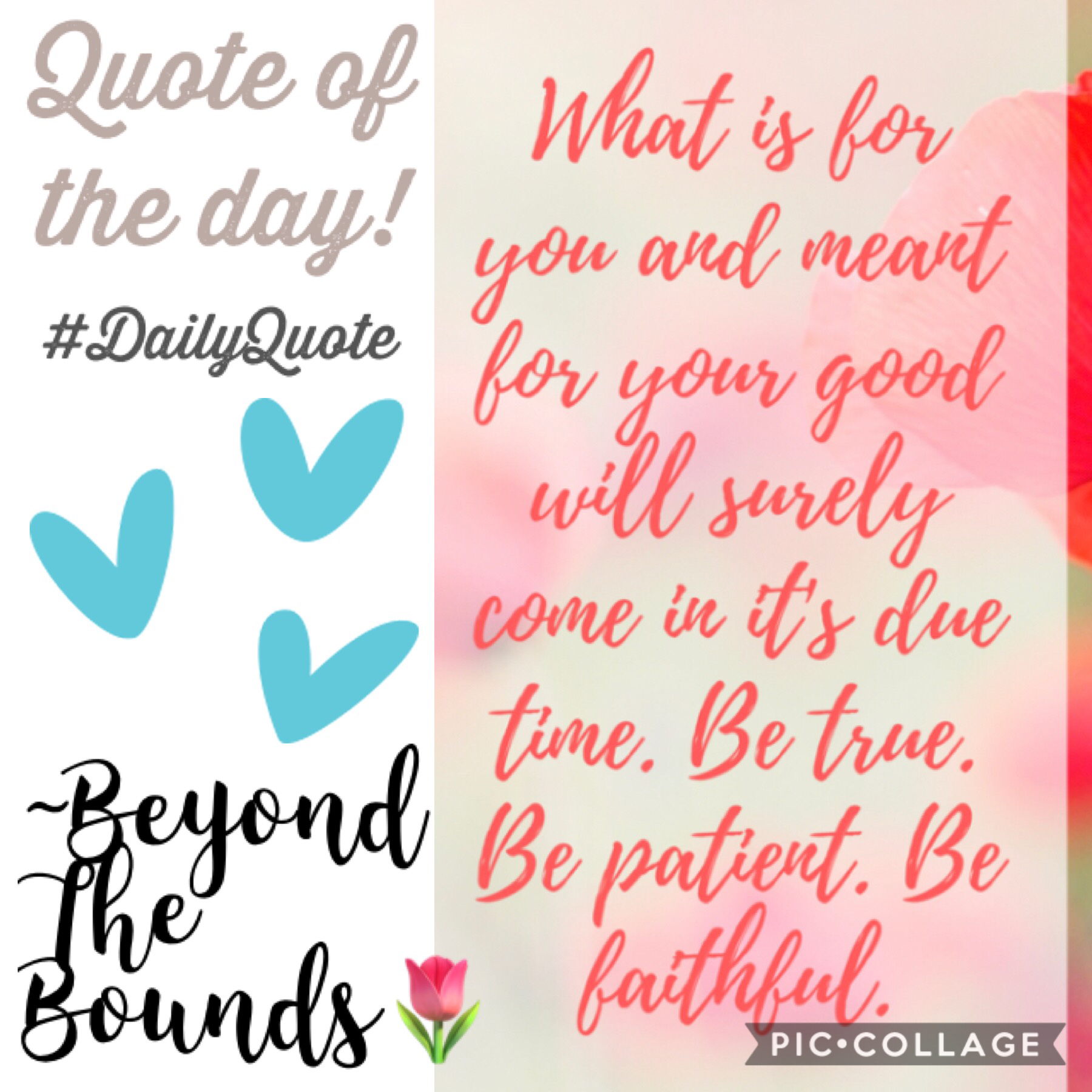🌷Tap🌷
Is this quote motivating you? Let me know through the comments...
Lots of love,
Beyond The Bounds🦋
