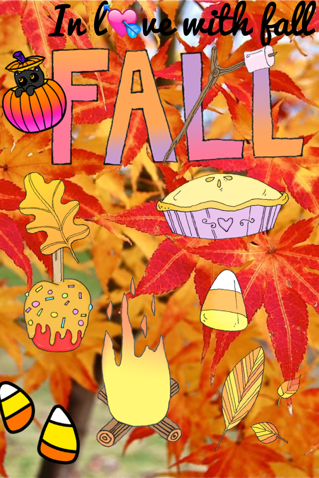 Fall is my favorite season 🍁🍂