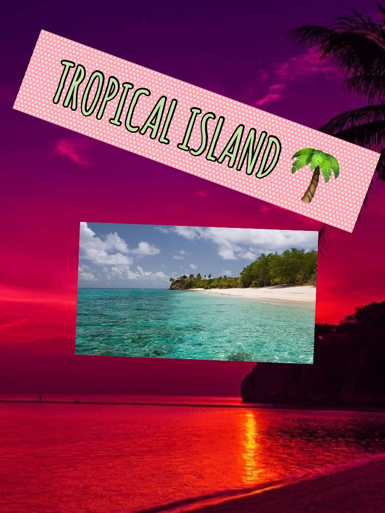 TROPICAL ISLAND 🌴 