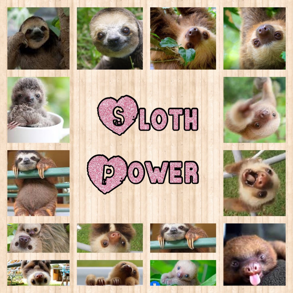 #sloths #love #life #cant breath