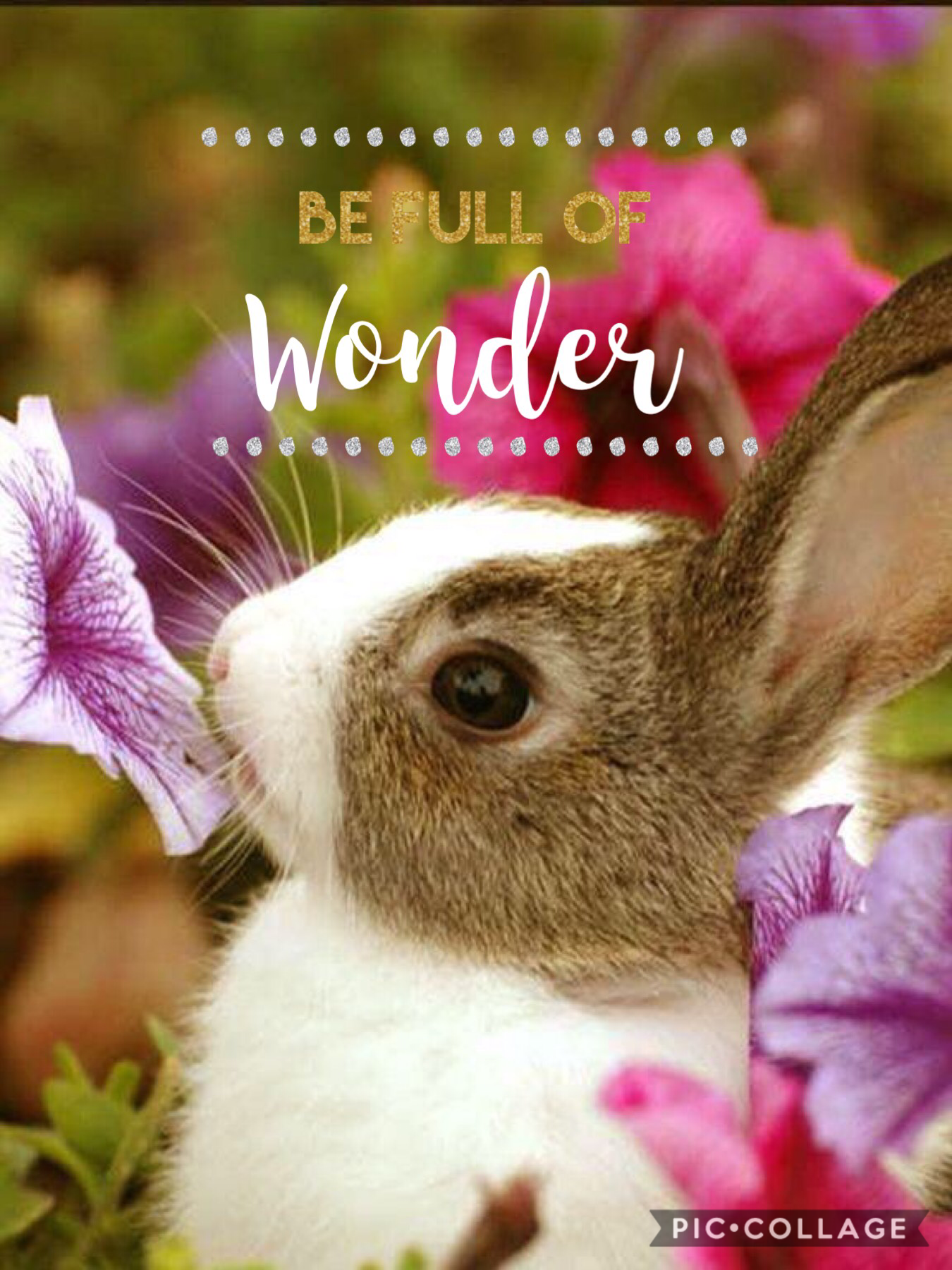 Be full of wonder

