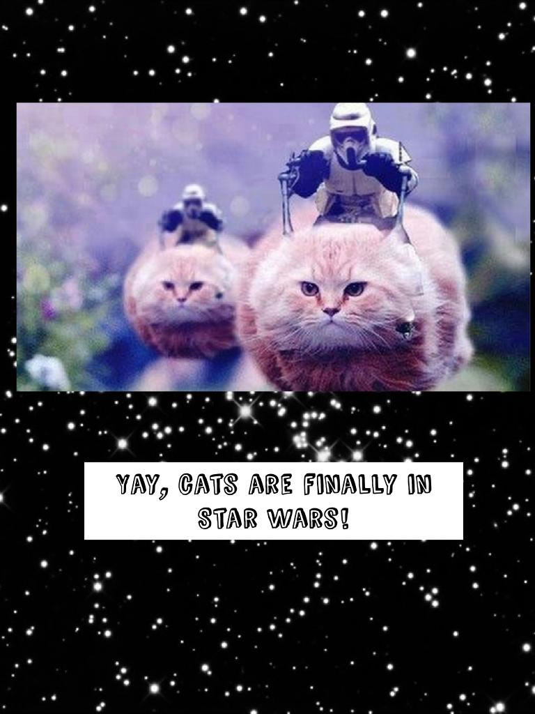 Yay, cats are finally in Star Wars!