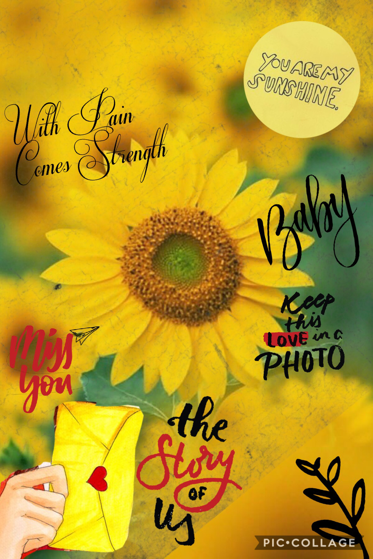 🌻 Tap 🌻 
This one is kind of messy but I hope you like it. Comment a “🌻” if you want a spam and a follow exchange. Keep loving and hopefully you join the sunflower squad! 🍯💛