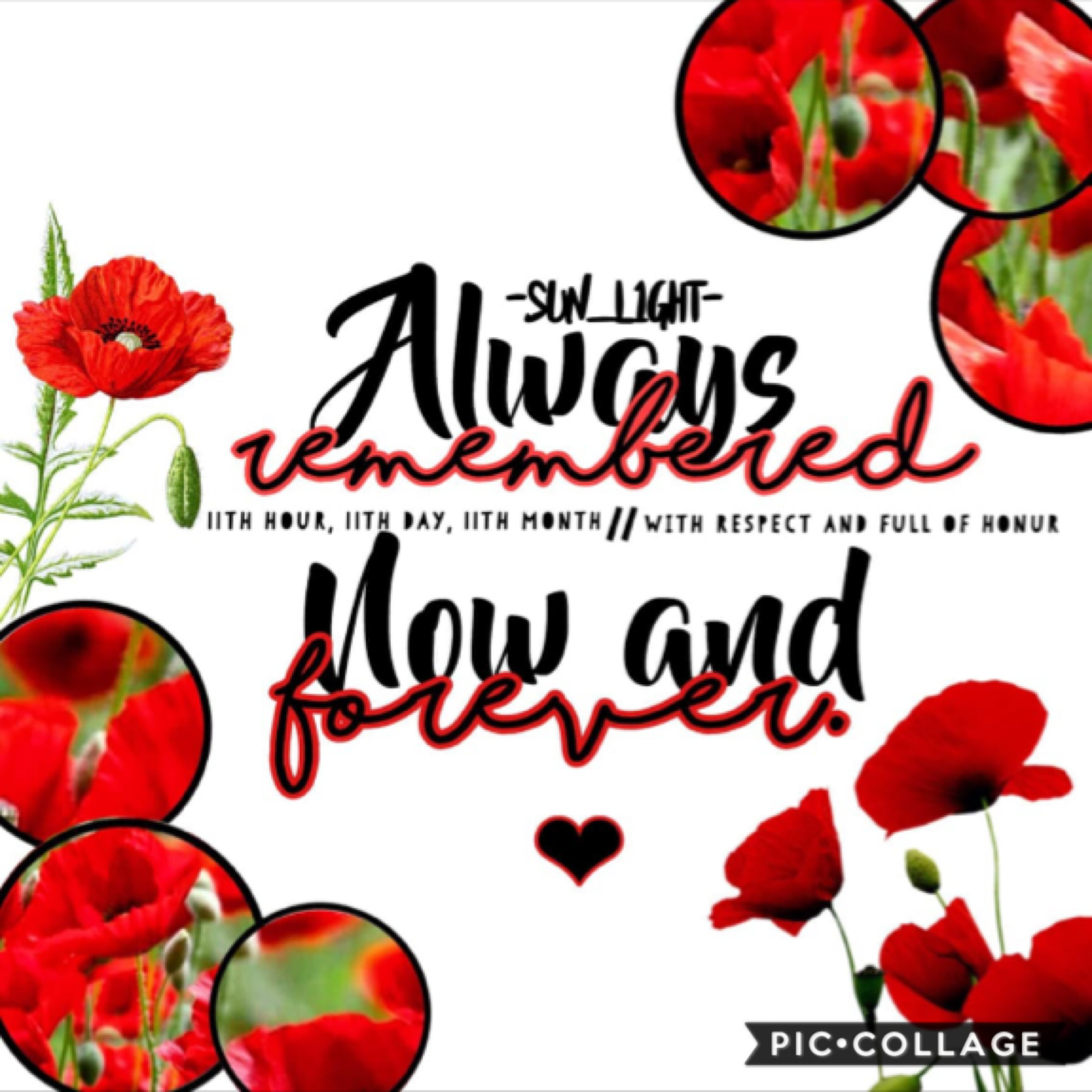 🌺🌹[ 11 / 11 / 19 ]🌹🌺
repost from last year. 
making this collage a tradition every Remembrance Day.
[ 17 / 11 / 19 ]
soz its late y'all. this proves, we should remember the soldiers not only on the 11th. lest we forget 🥀