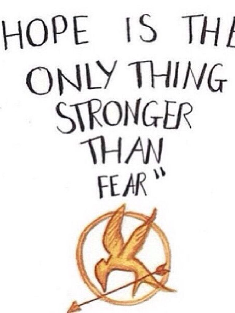 This makes sense if u have read the hunger games.