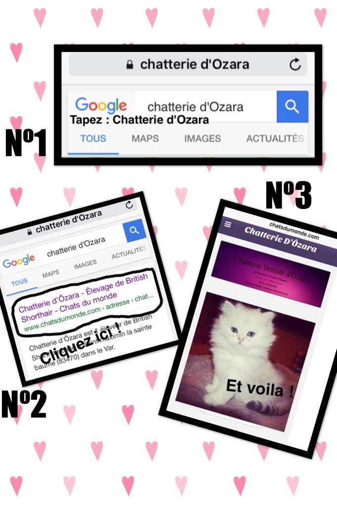 Chatterie d'Ozara