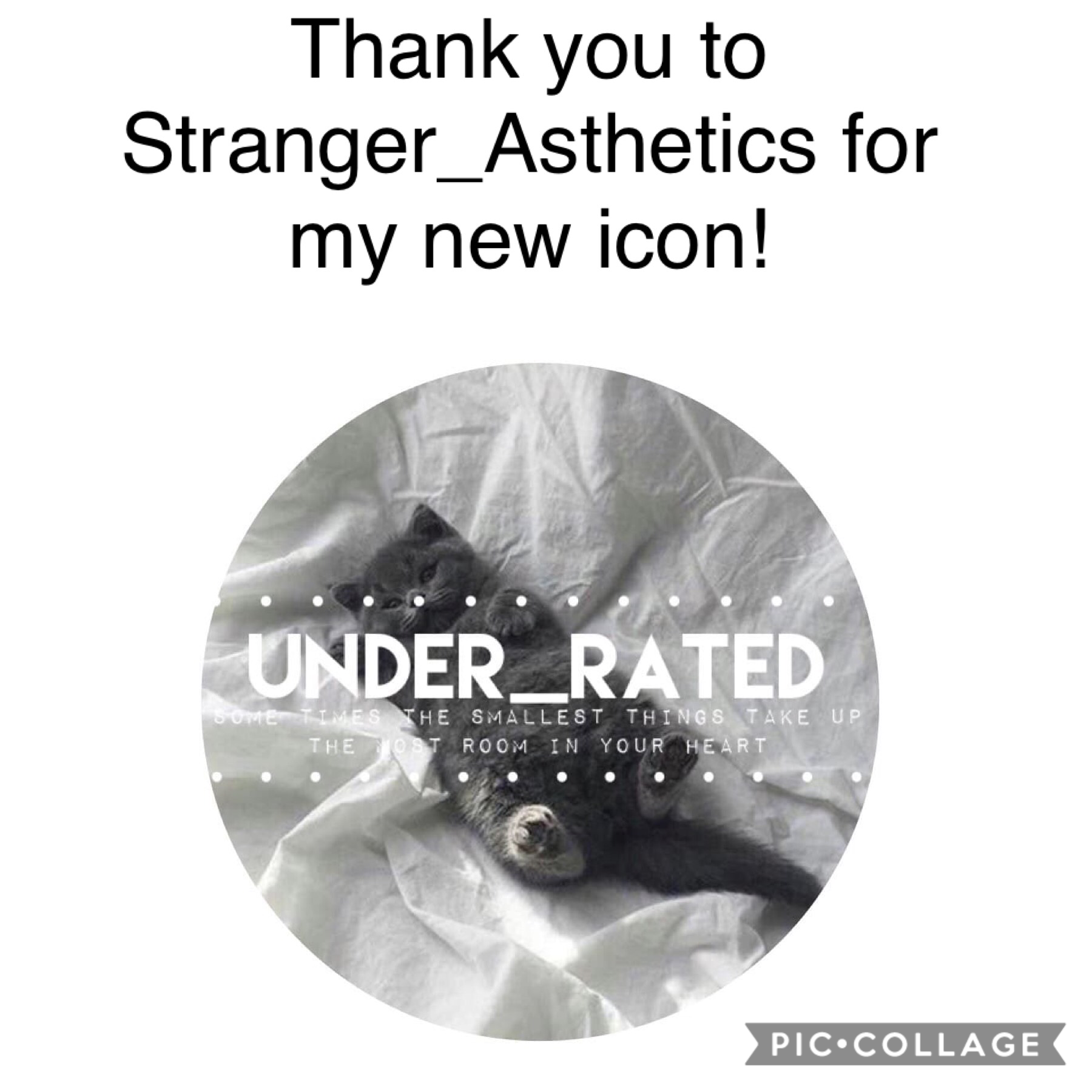Thank for the cute icon!