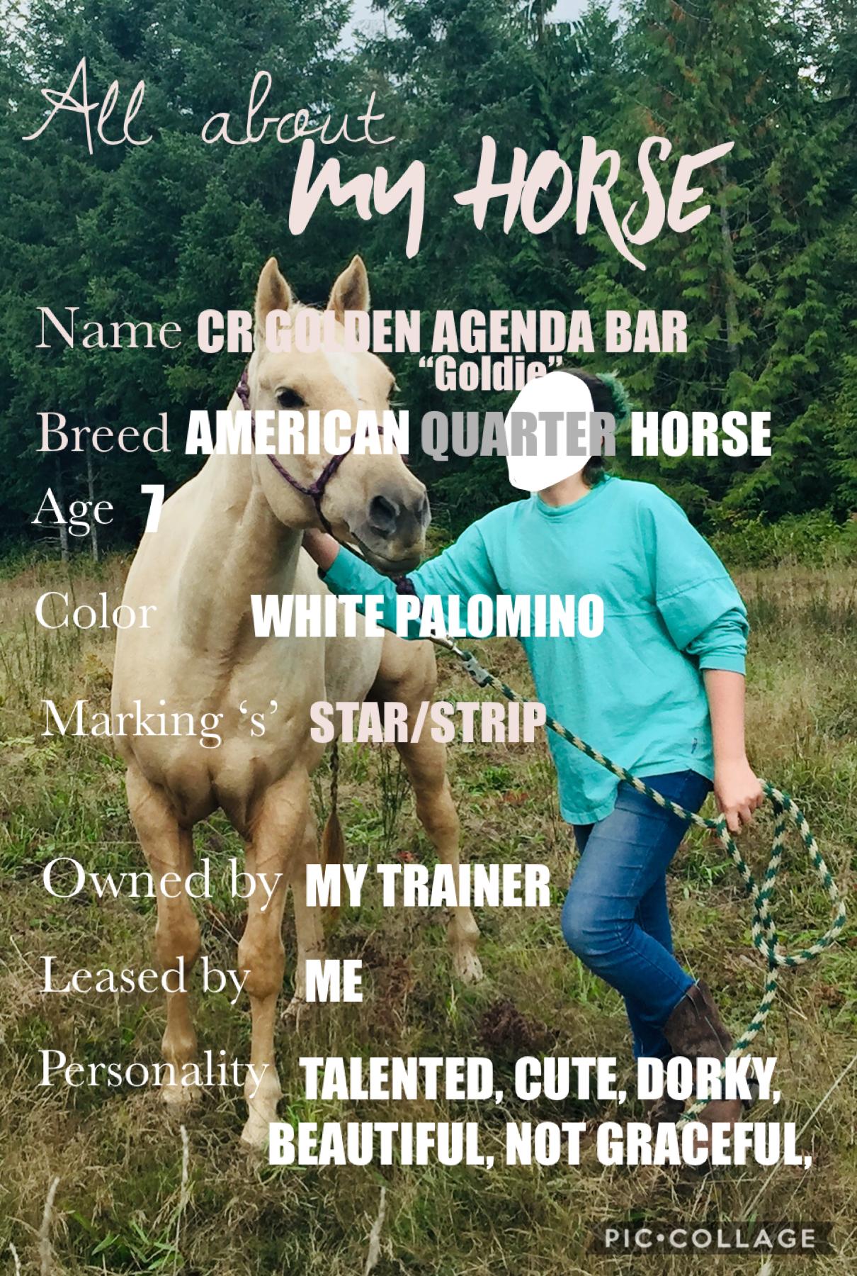 Might as well tell you about my horse, especially since this is a horse collage place thingy 😂.



Face blocked for privacy reasons.