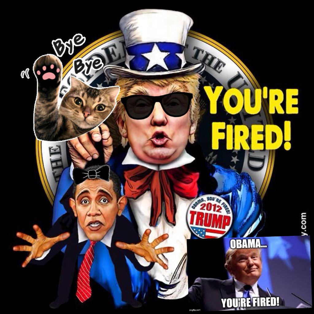 Your Fired Obamma