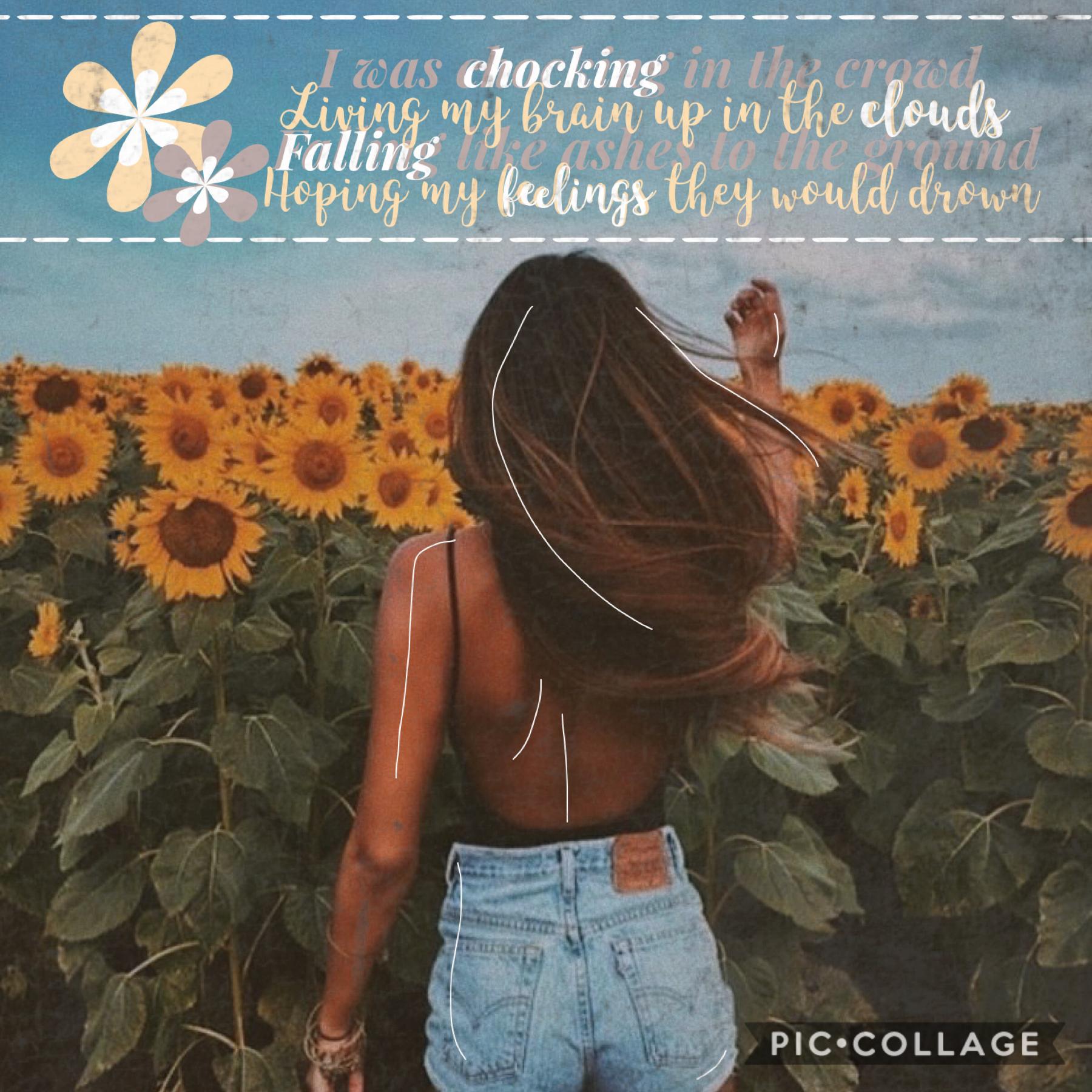 🌻TAPPITY TAP🌻
Song lyric guess round three, I think I might do book quotes soon! 💕🦋