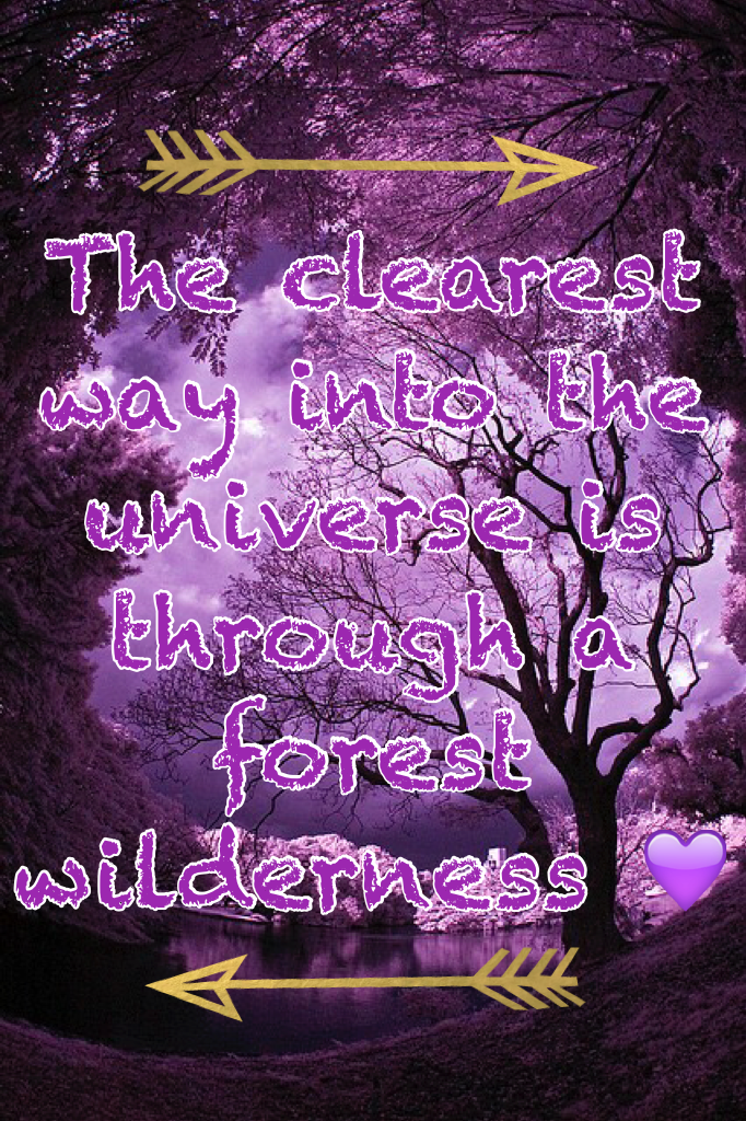 The clearest way into the universe is through a forest wilderness 💜
