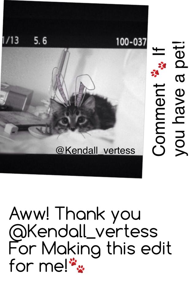 Aww! Thank you @Kendall_vertess For Making this edit for me!🐾