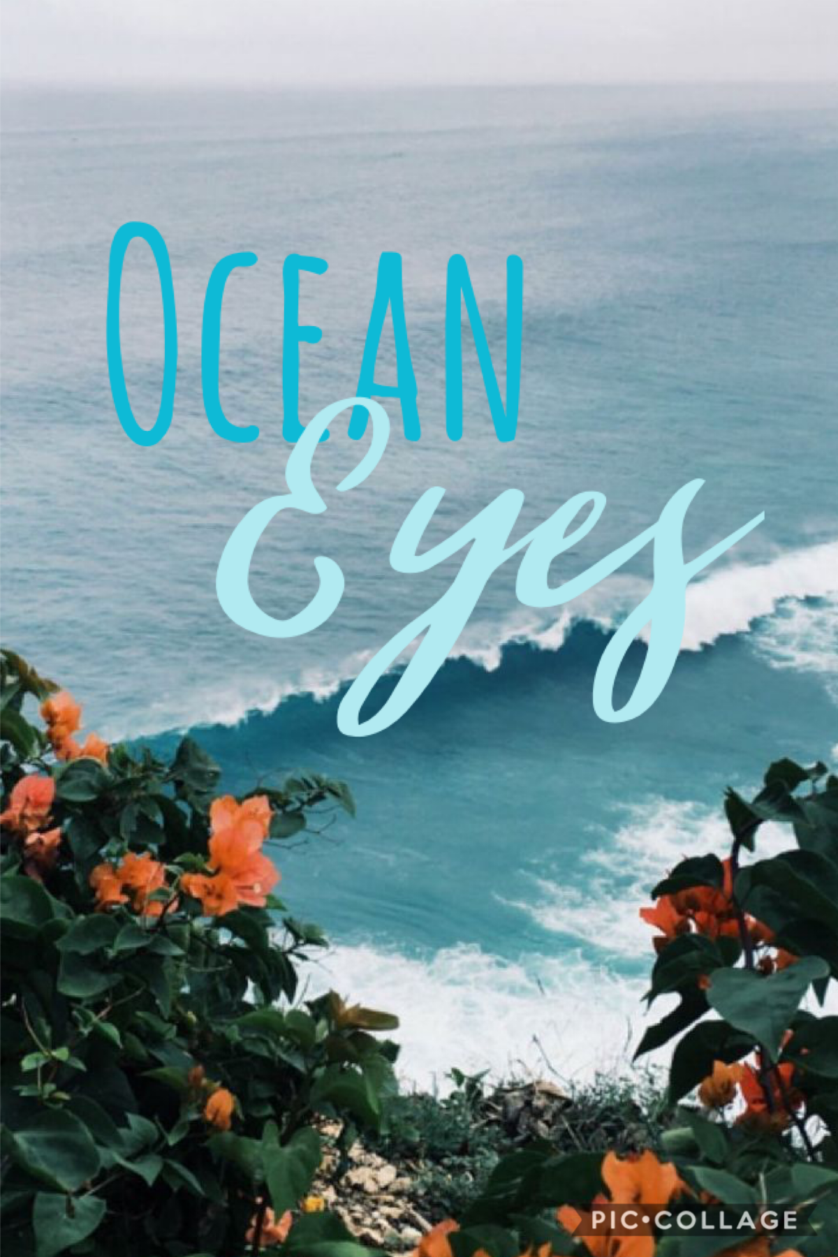 Ocean eyes by Billie Eilish and yes I think I did a collage on this song a while  ago but I’m making another one lol 😂 