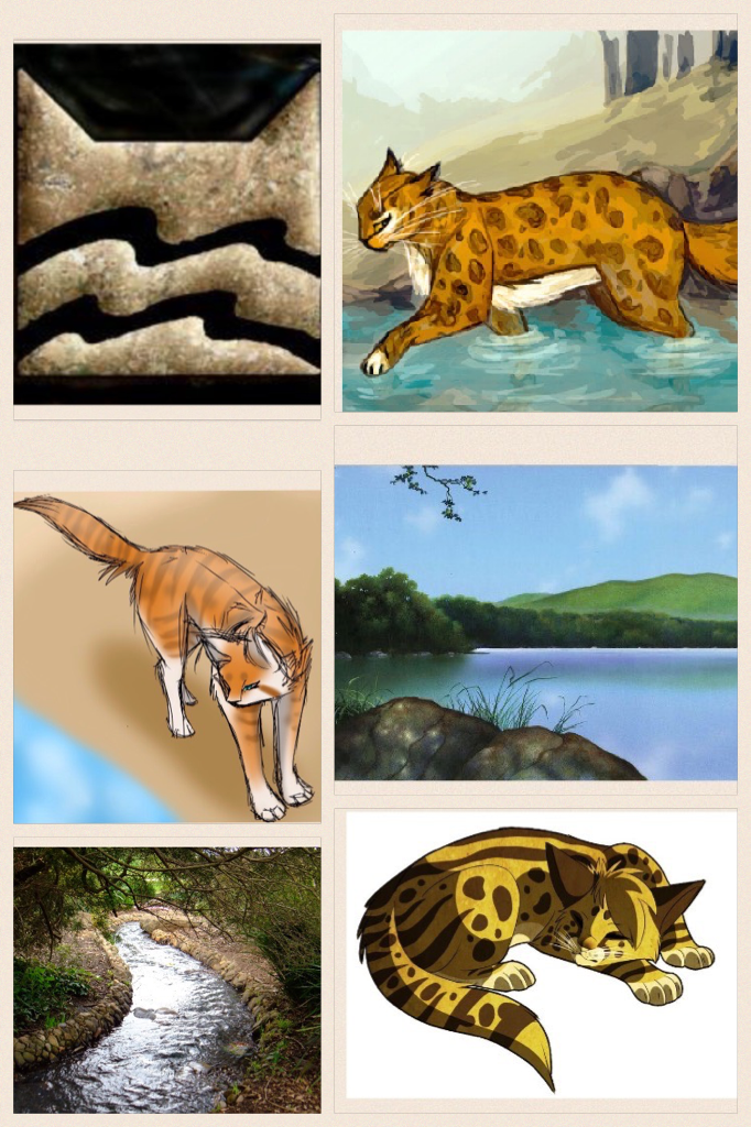 THIS IS RIVERCLAN WITH LEOPARDSTAR