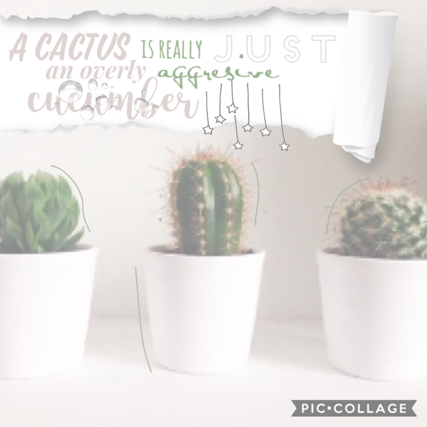 tap!!🌵🌵
This is okay, I think I’m only gonna do one more collage for my simple theme and start a new theme. I think my new theme is gonna be quotes from movies and songs. Then I think I will do places around the world!😱😂 QOTD in comments. Comment a  cactu