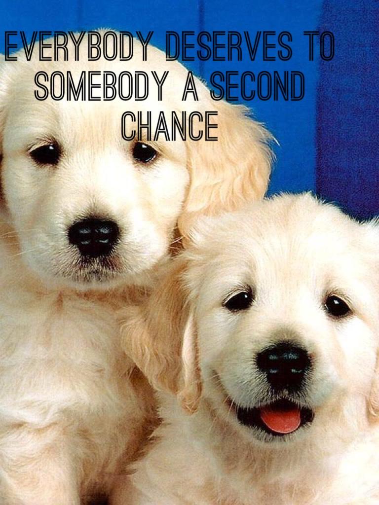 Everybody deserves to somebody a second chance 