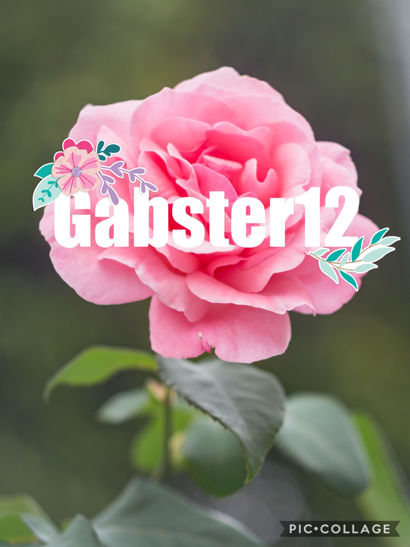 For gabster12 logo comp