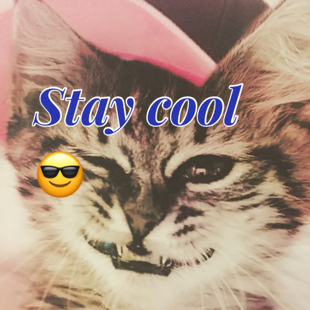 Be as cool as cool is