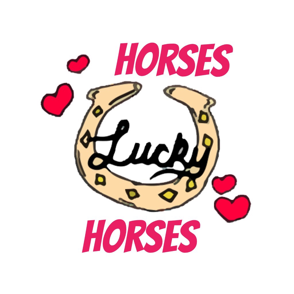 Horses i love horses