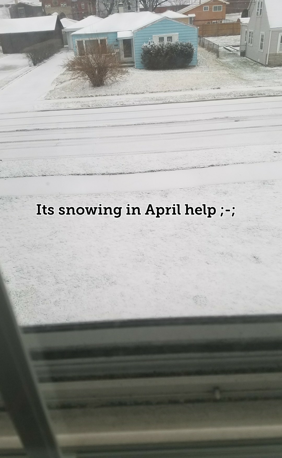 Its snowing in April help ;-;