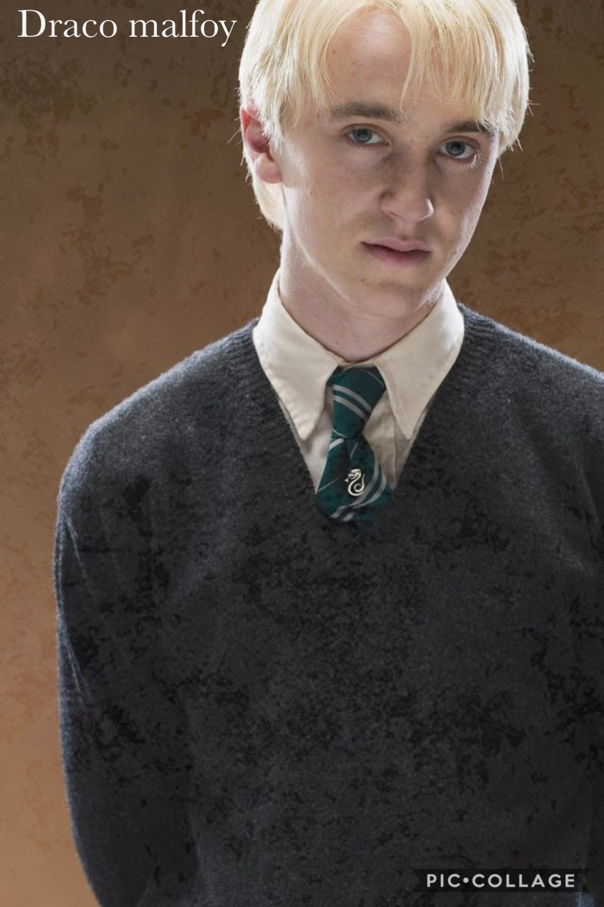 Dose anyone else have a obsession with draco??