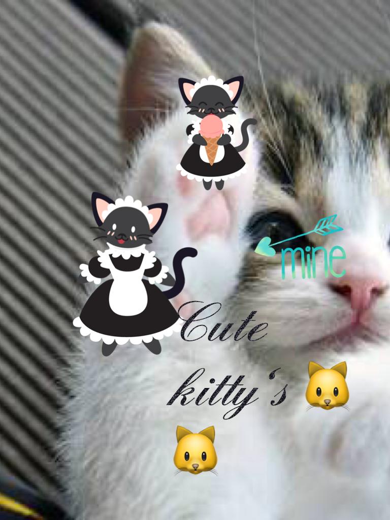 kitty's
