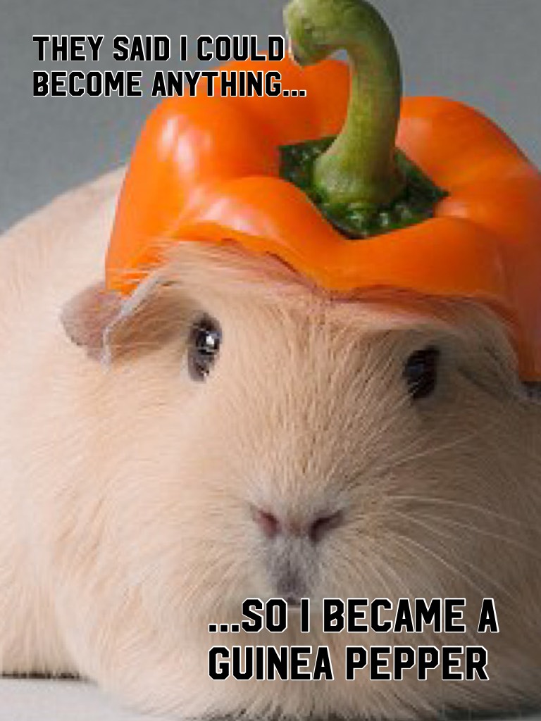 ...So I became a guinea pepper