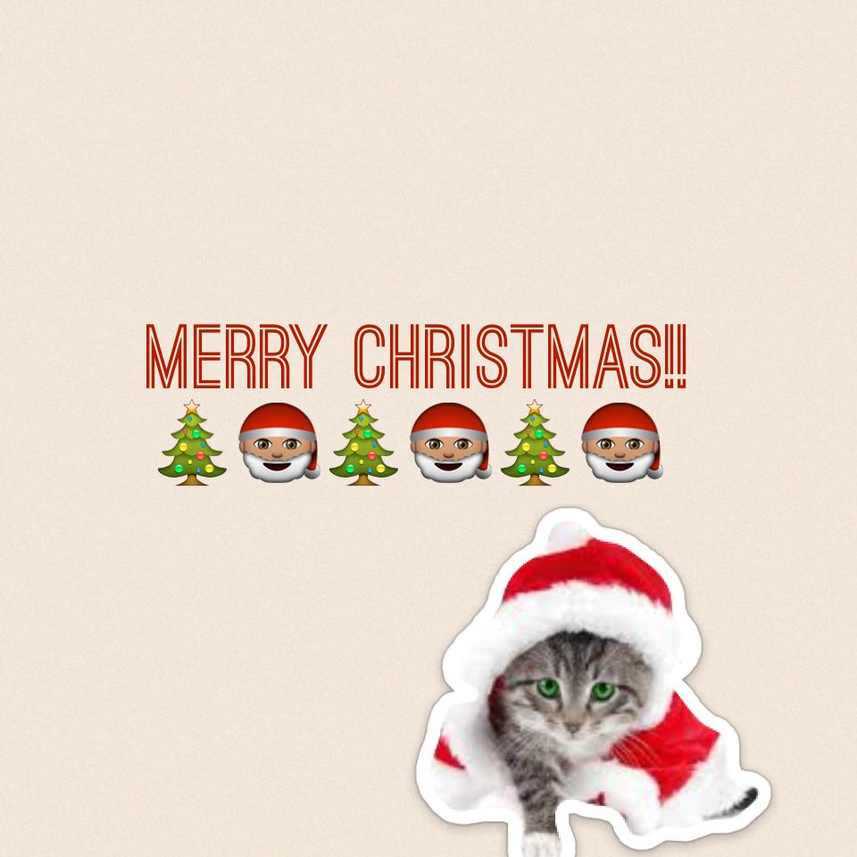 Merry Christmas!!🎄🎅🏽🎄🎅🏽🎄🎅🏽
