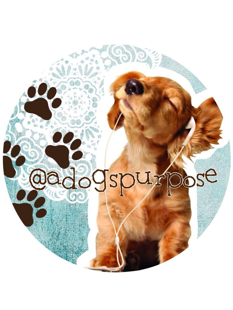 For @adogspurpose 💞 please click --> 🐶

Guys I can't stress how sorry I am, I took about a break from PC. Some of the forms I've gotten are vague and I don't know how to make them look good, I found myself getting frustrated so I stopped. Hope you underst