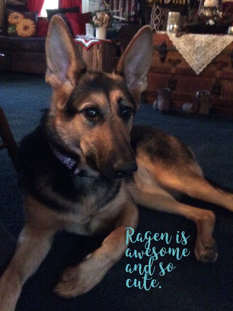 Ragen is awesome and so cute.
