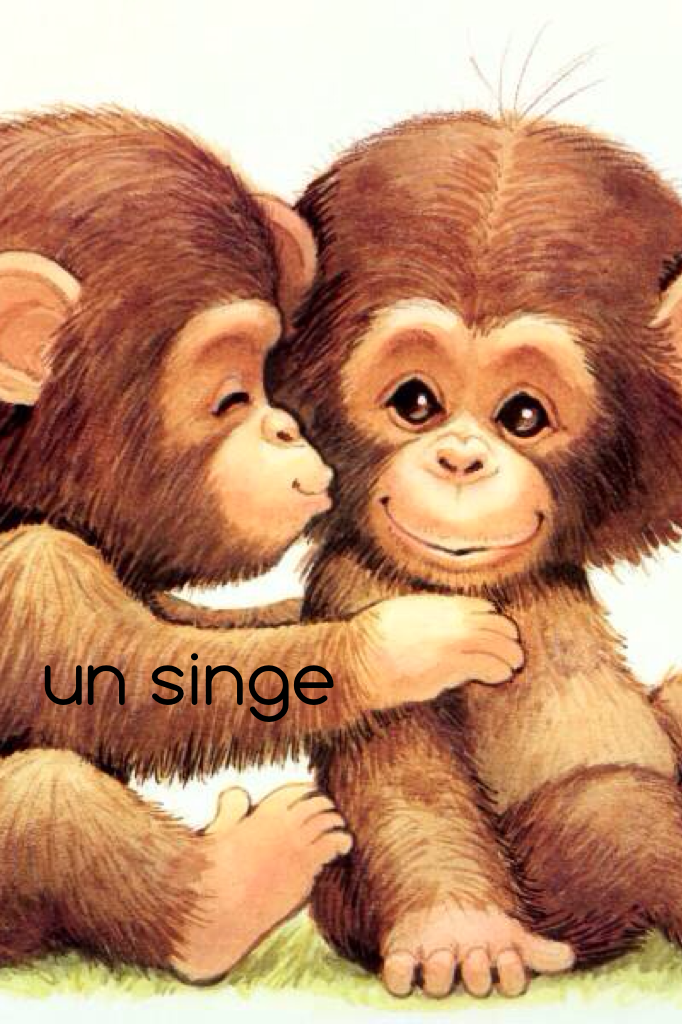 🗼click🗼
Un singe means a monkey in French 🐒🐵