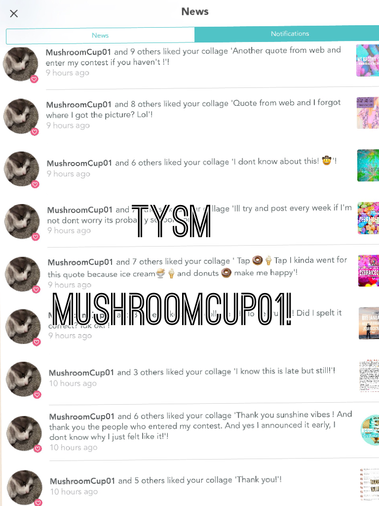 TYSM 

MushroomCup01!