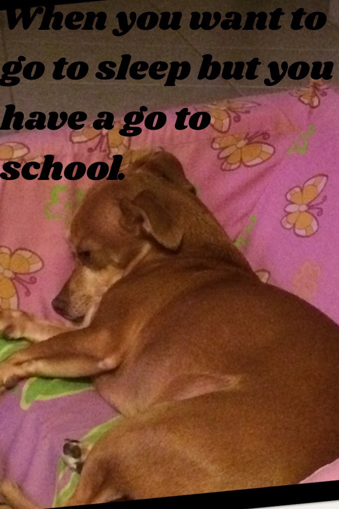 When you want to go to sleep but you have a go to school.
