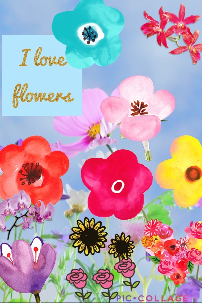 I love flowers 🌺🌷🌸💐🌻🌹