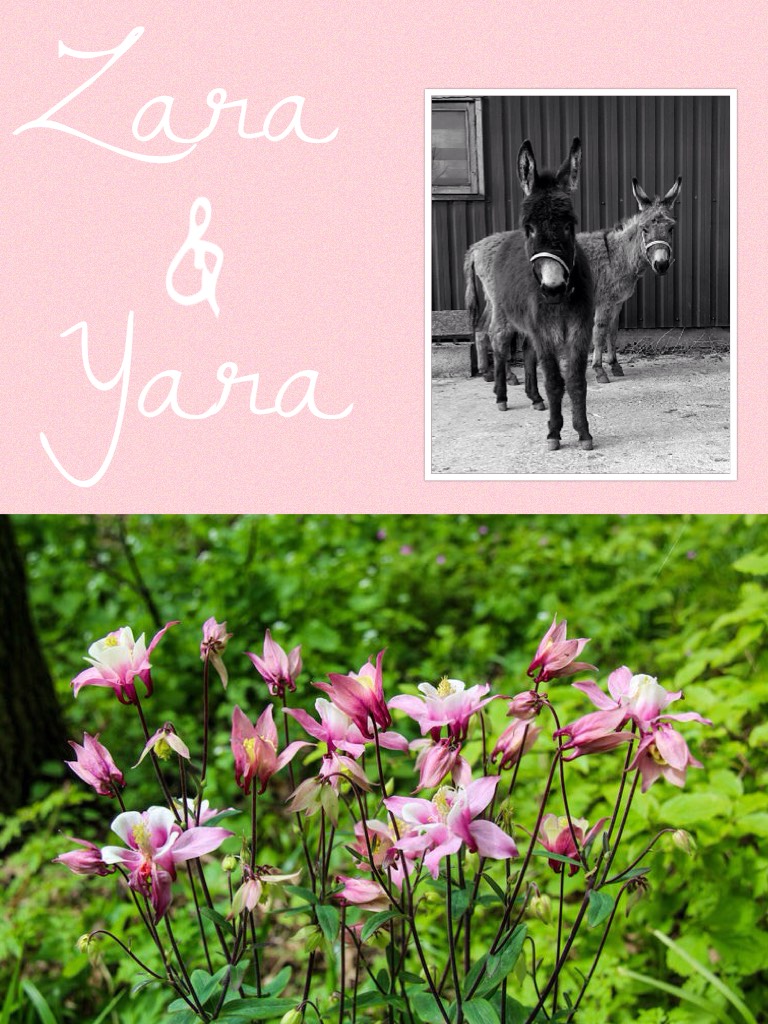 Zara en Yara