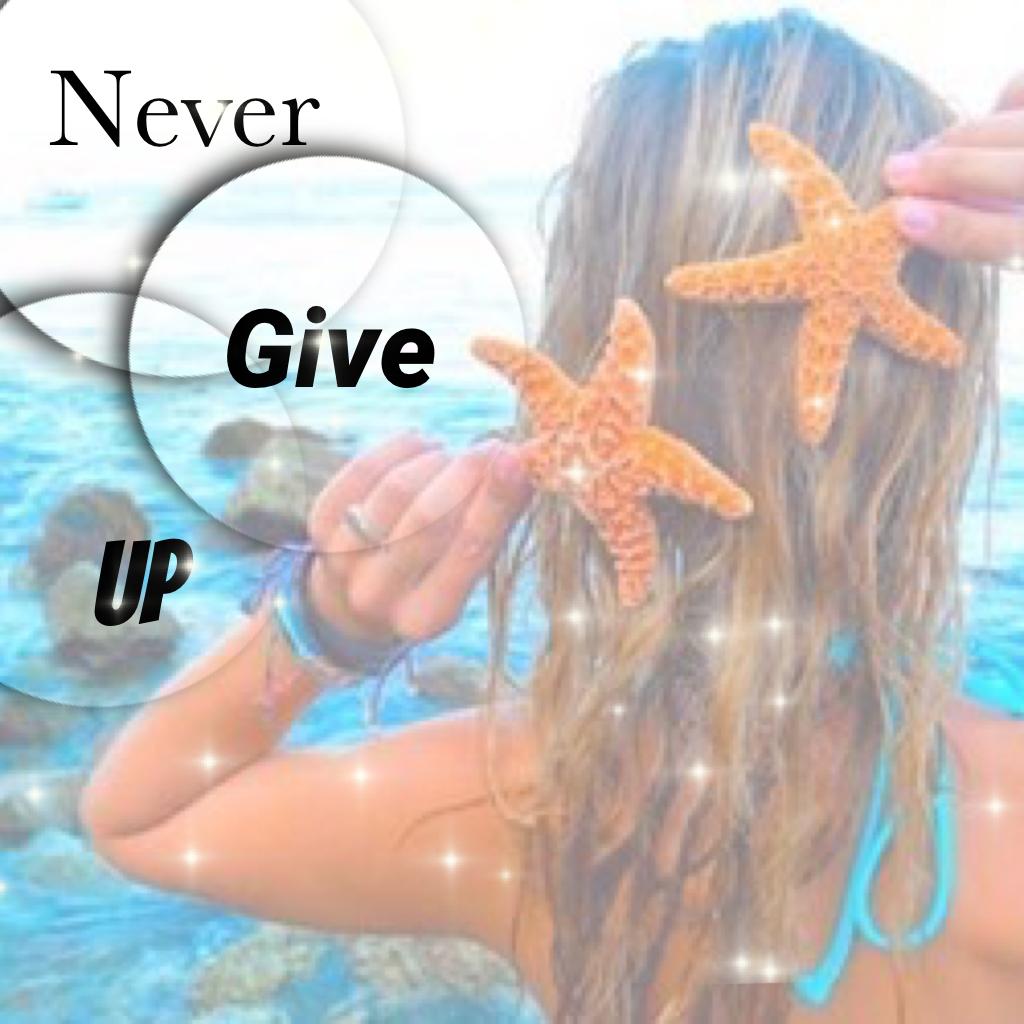 Never give up -unicornkitty7 