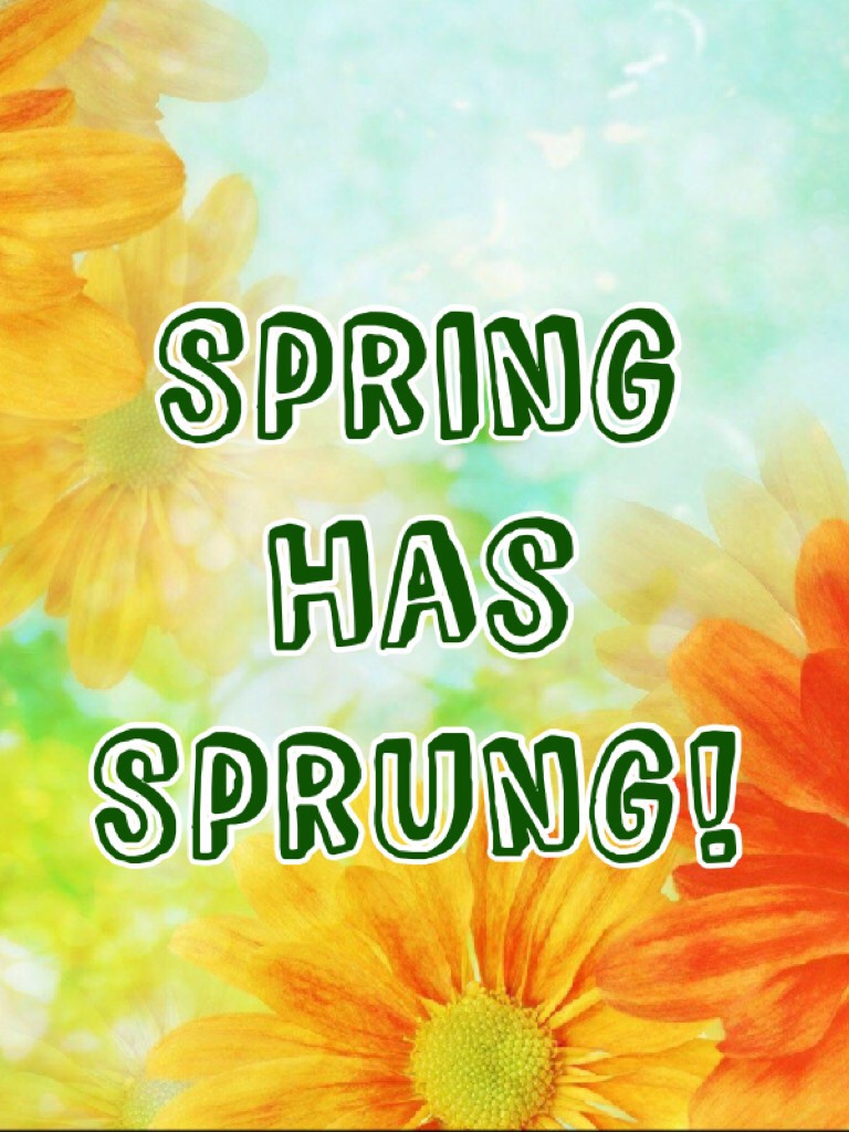 Spring has Sprung!