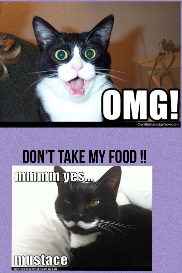 Don't take my food !!