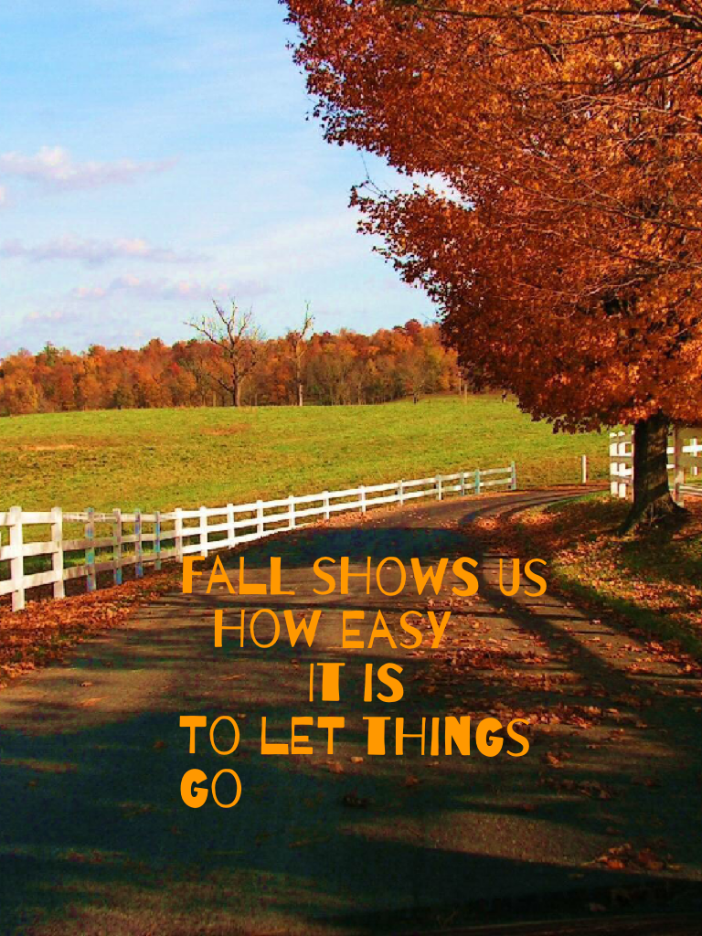 Fall shows us
  How easy
        It is
To let things go