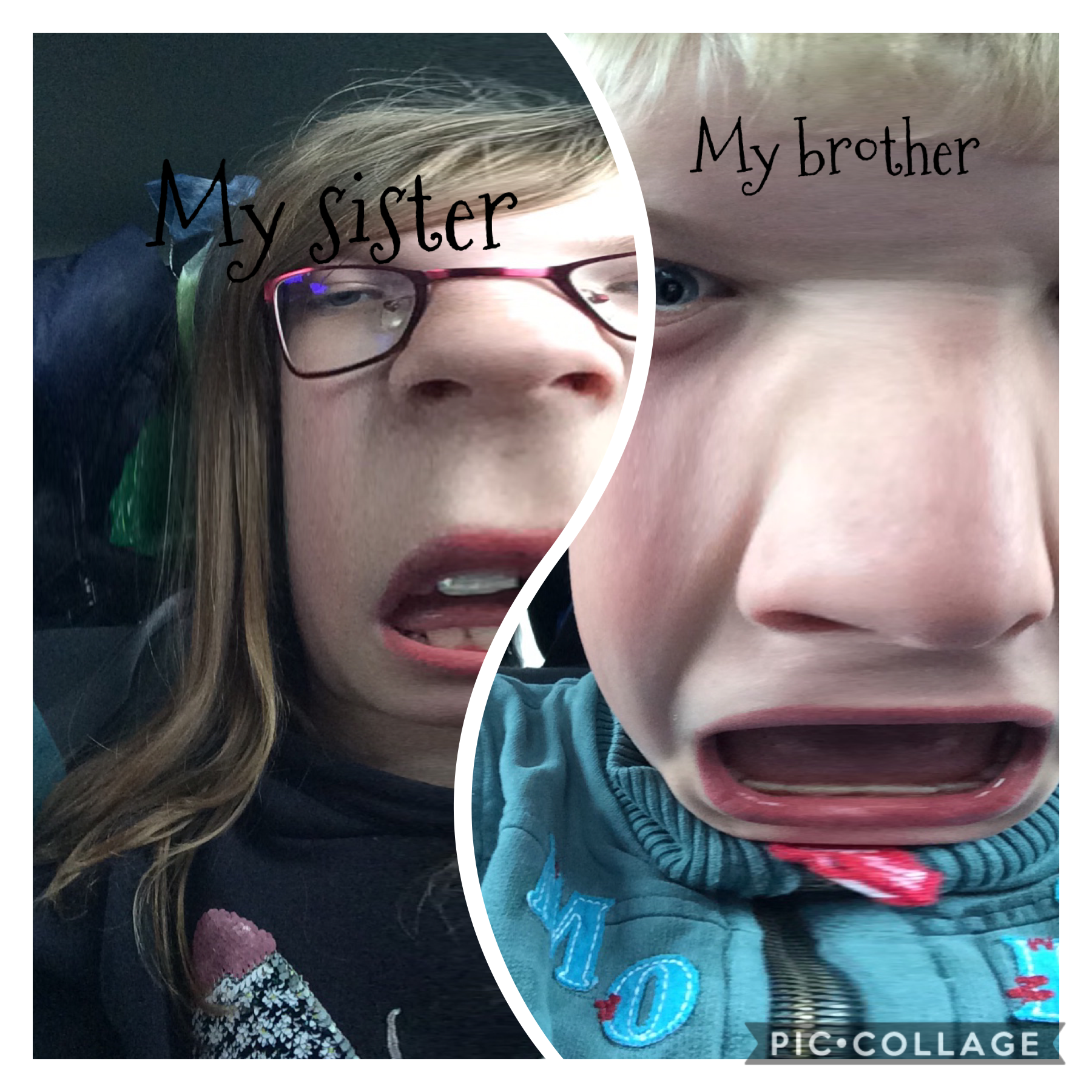 my sister vs my brother 