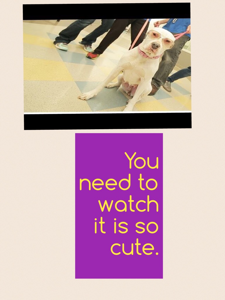 You need to watch it is so cute.