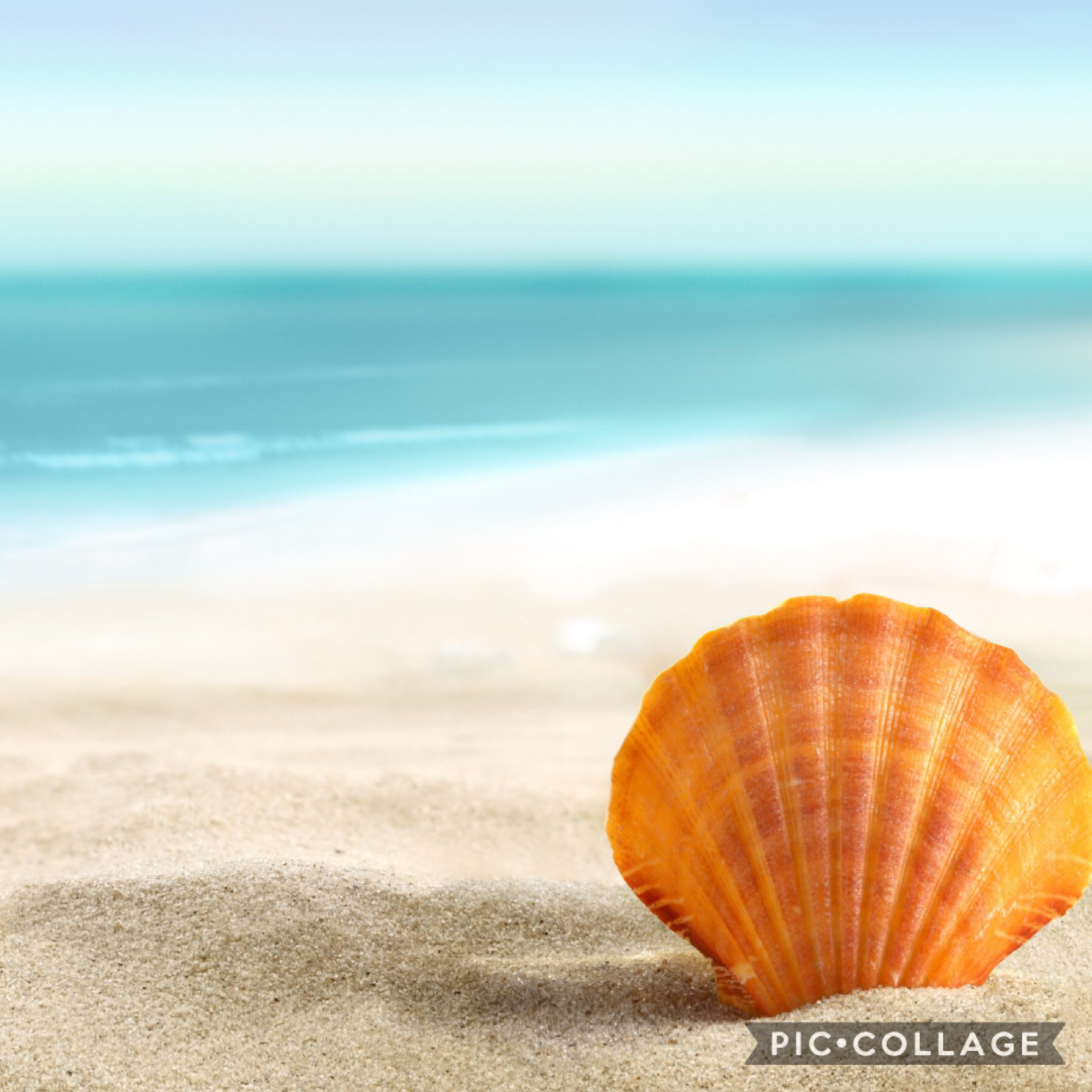 Sea, sand, sun!🌊☀️👙👒🕶