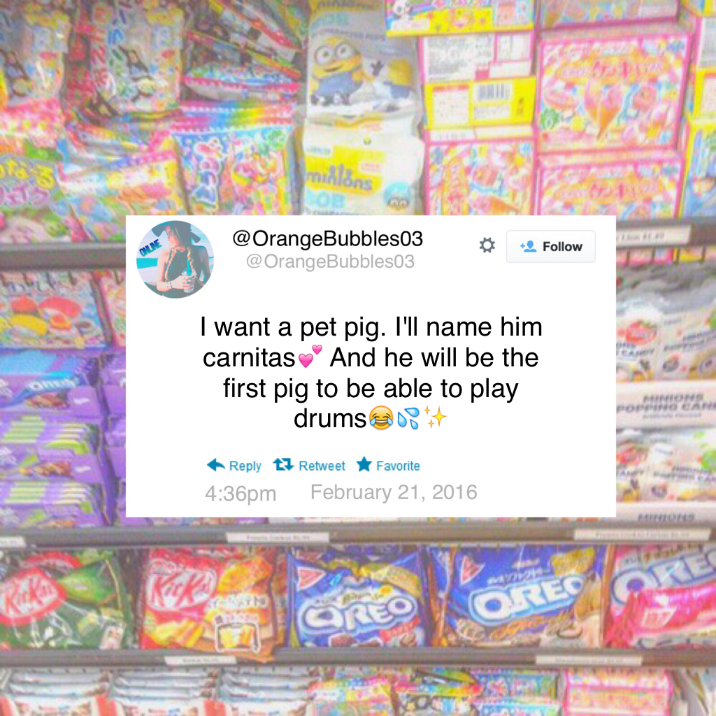 🐷Tap Here🐷
Pigs are cute😂💦💕 Who else think this??✨👑