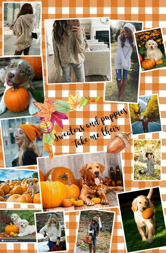 My first ever autumn collage do you like?