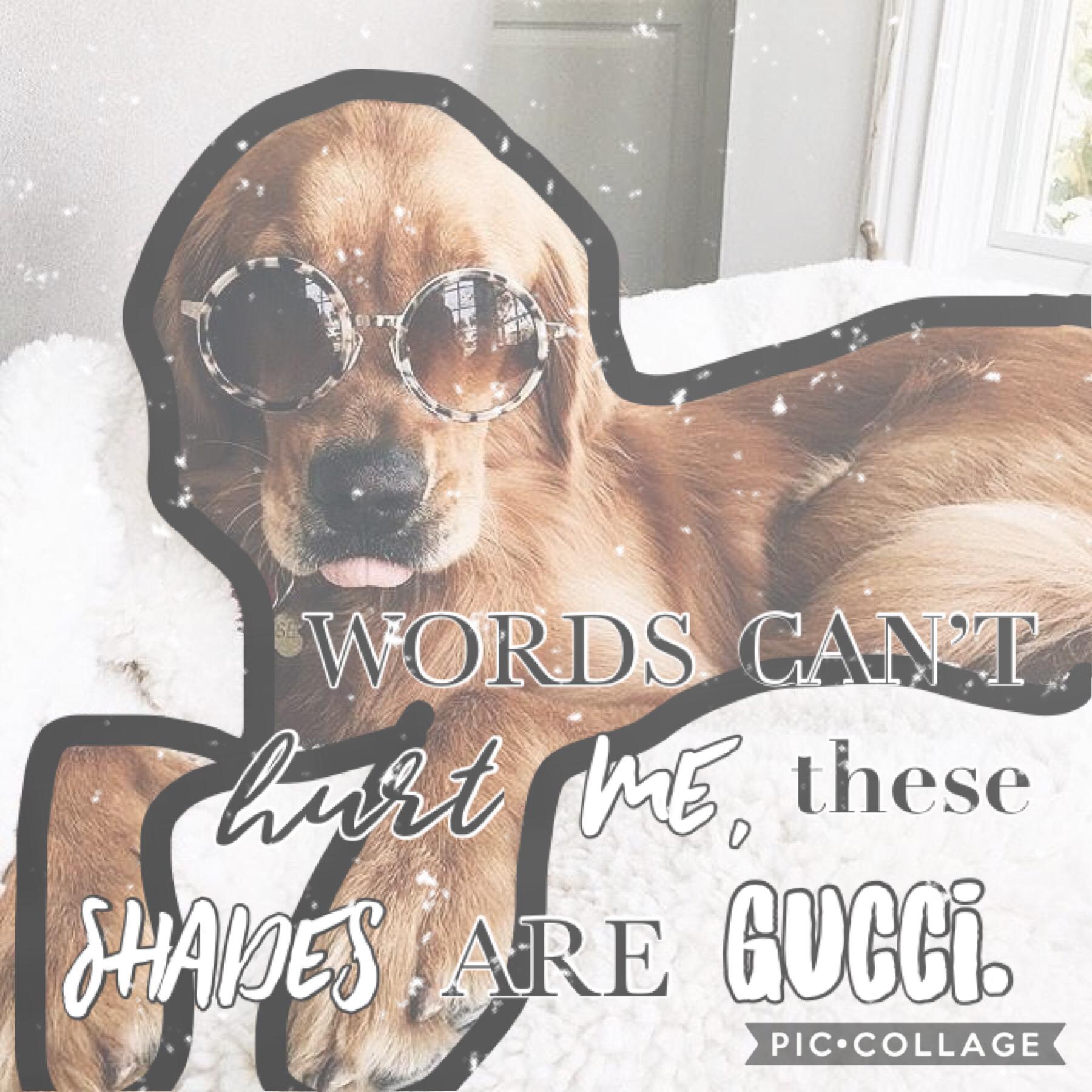 😎I just love how cute doggos look with shades on! Hope u love it, and live by it! QOTD: Fav clothing brand? 😎