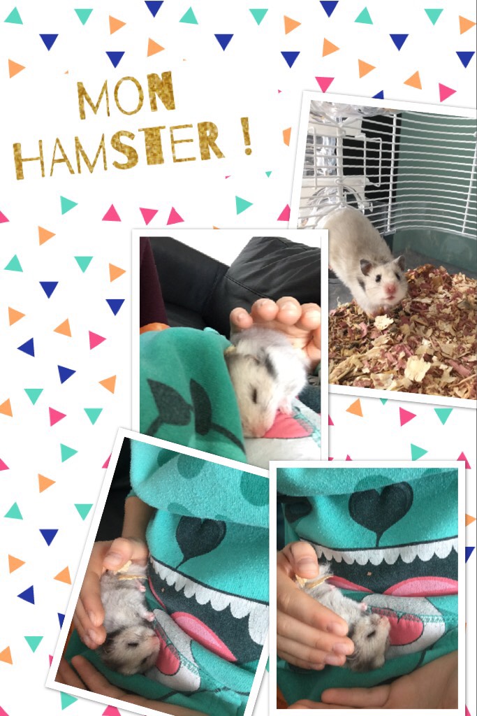 Mon hamster !