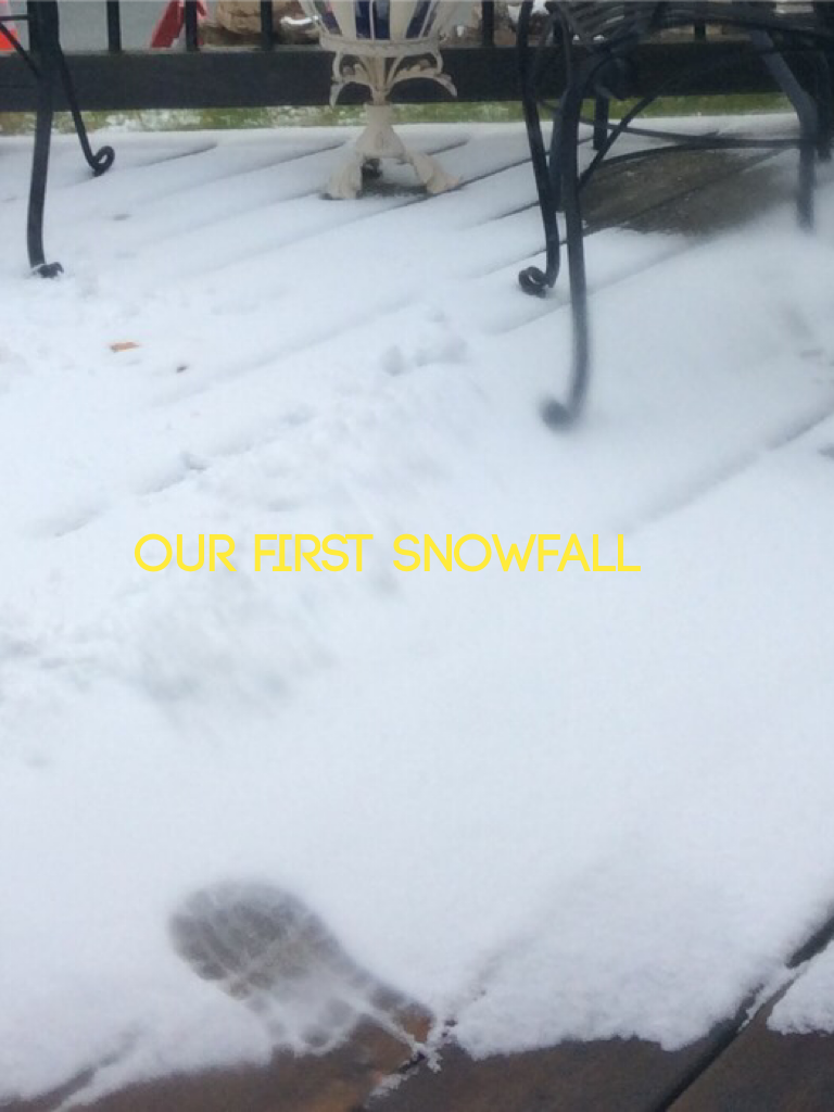 Our first snowfall