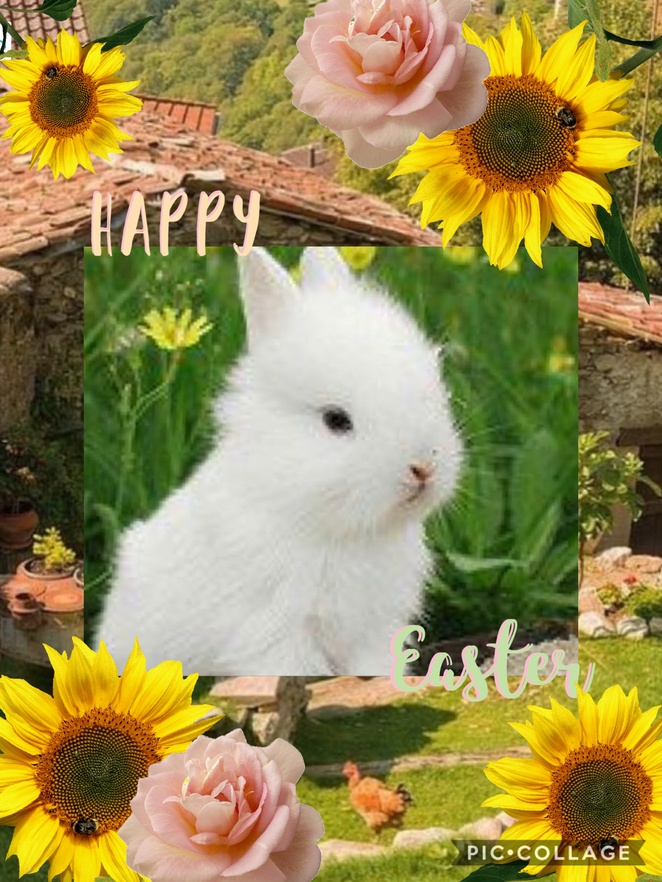 🐇Happy Easter!! Thanks for all the support! Especially @-Pretty_little_Thingz- and Sweet-Lavender! You guys are AMAZING!! I’m so grateful! 💕🐹