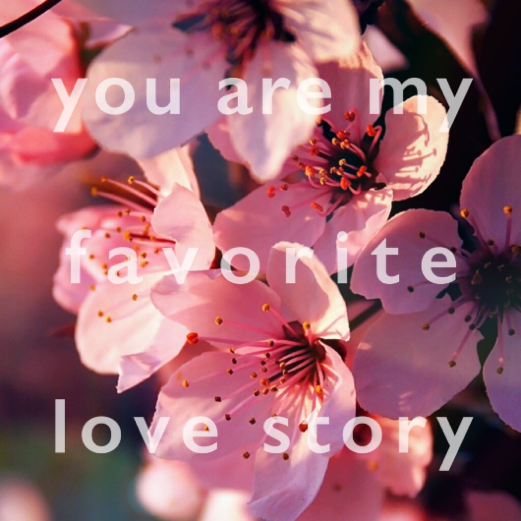 You are my favorite love story