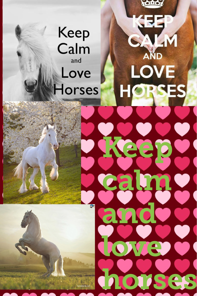 Keep calm and love horses